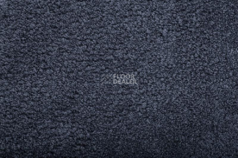 Ковролин Condor Amazing 76 фото 1 | FLOORDEALER